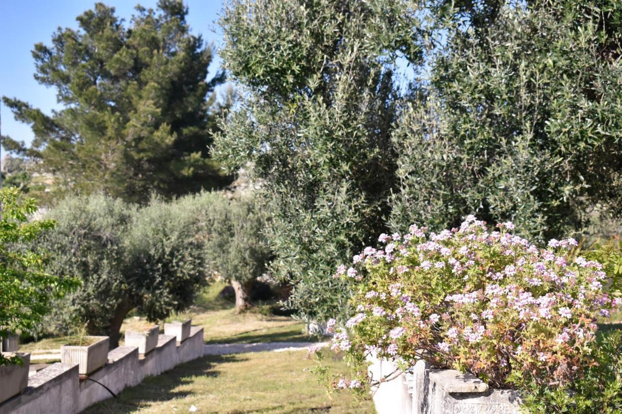 Terre D'Amore - For Couples Hotel Ostuni Ngoại thất bức ảnh