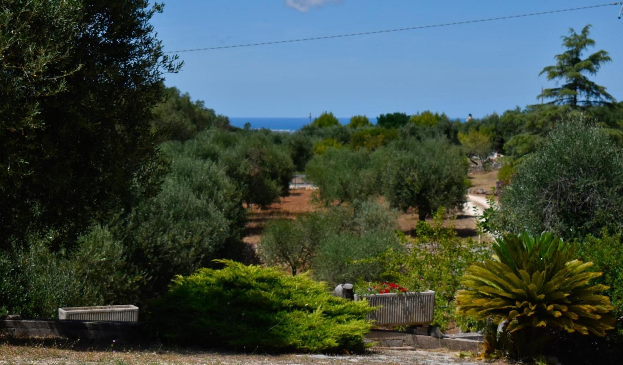 Terre D'Amore - For Couples Hotel Ostuni Ngoại thất bức ảnh