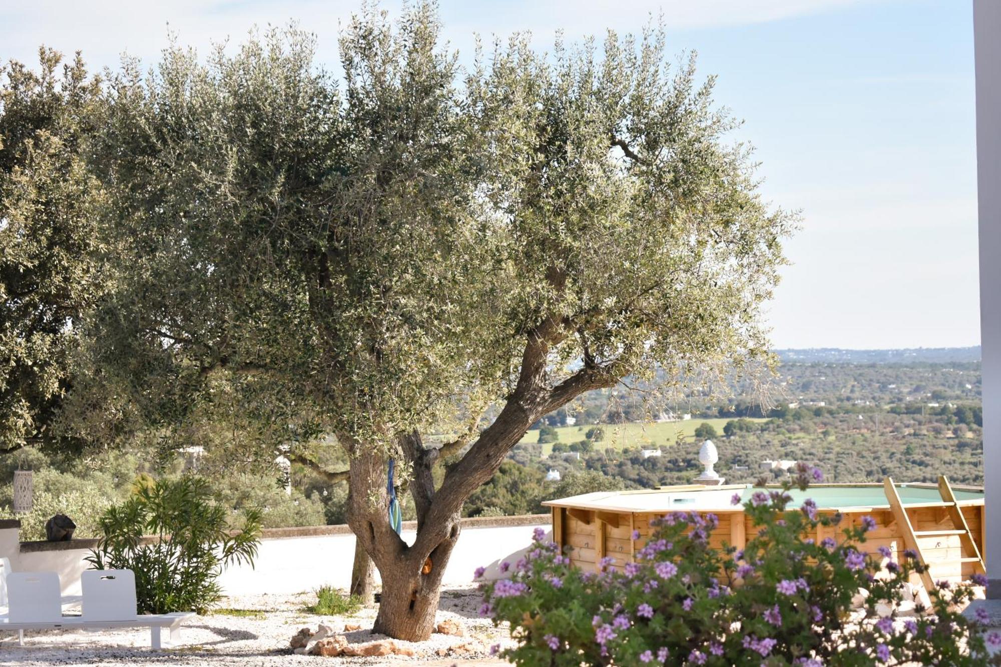 Terre D'Amore - For Couples Hotel Ostuni Ngoại thất bức ảnh