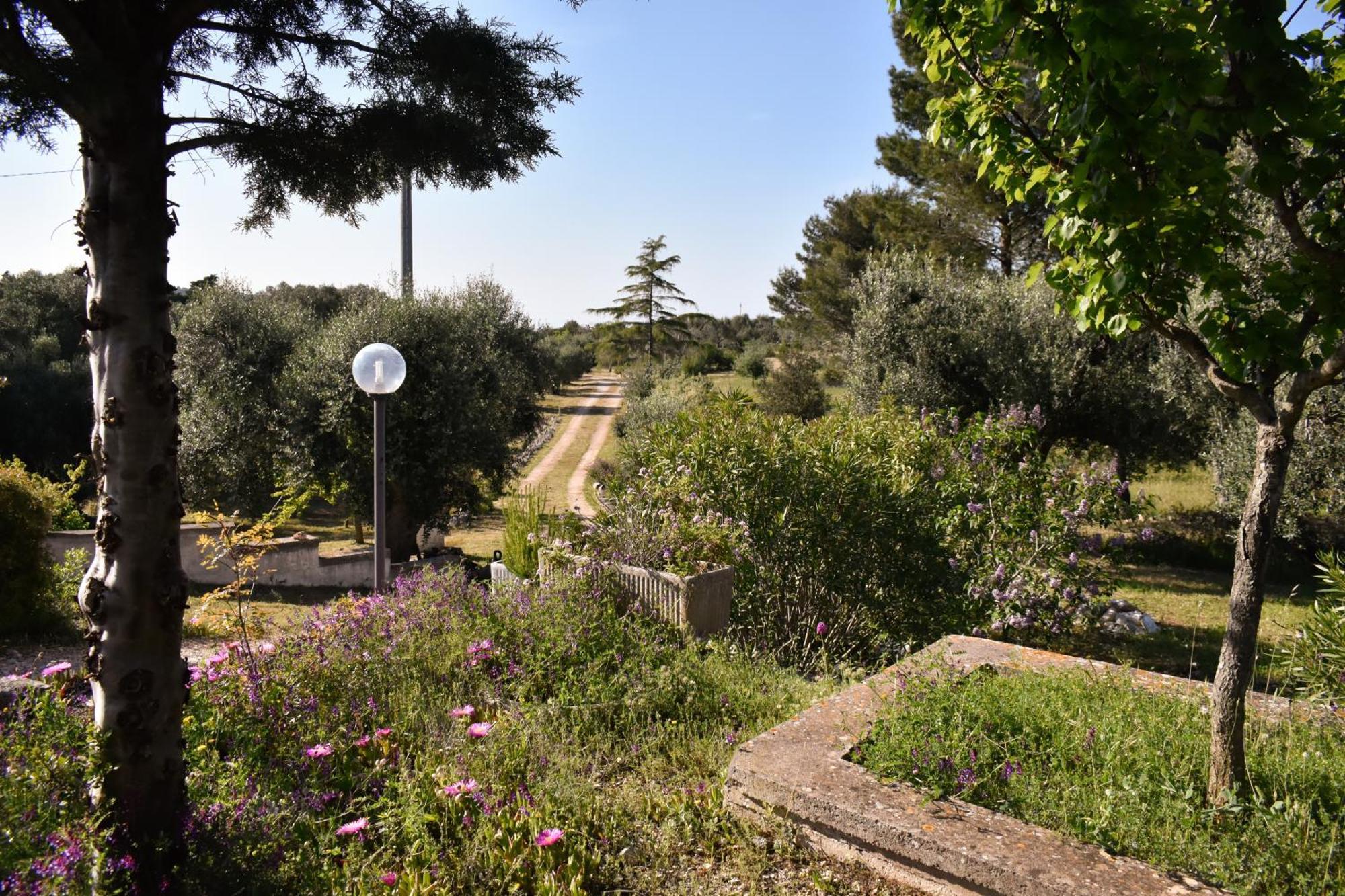 Terre D'Amore - For Couples Hotel Ostuni Ngoại thất bức ảnh